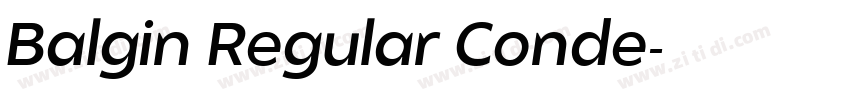 Balgin Regular Conde字体转换